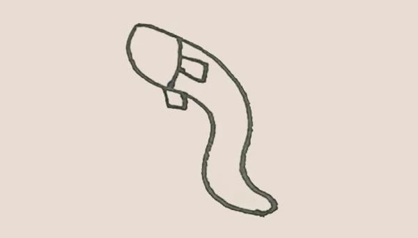 鰻魚簡筆畫步驟教程