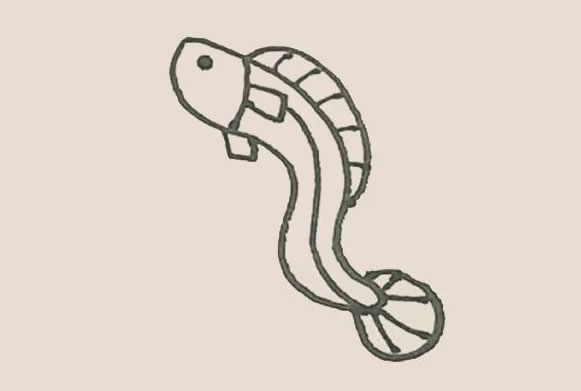 鰻魚簡筆畫步驟教程