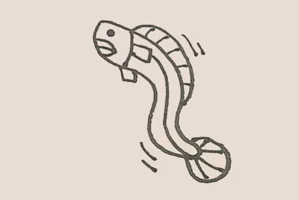鰻魚簡筆畫步驟教程