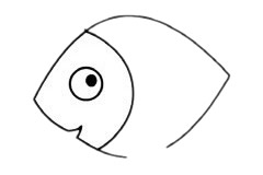 海洋生物熱帶魚簡筆畫