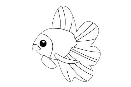 一組熱帶魚簡筆畫大全