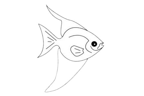 一組熱帶魚簡筆畫大全