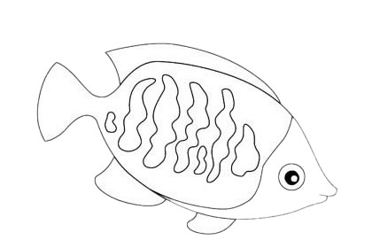 一組熱帶魚簡筆畫大全