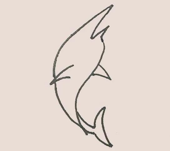 涂色的旗魚簡筆畫教程