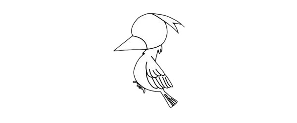 一步步教你畫簡單的啄木鳥