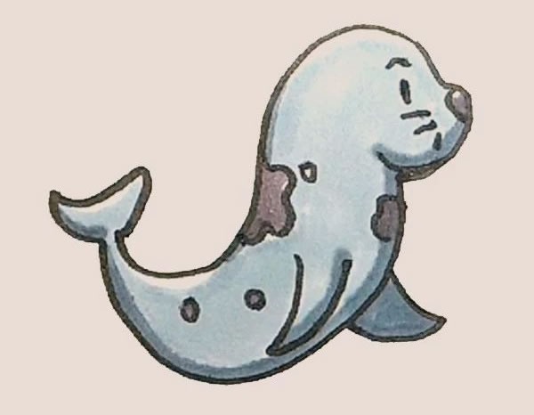 涂色的海豹簡筆畫教程