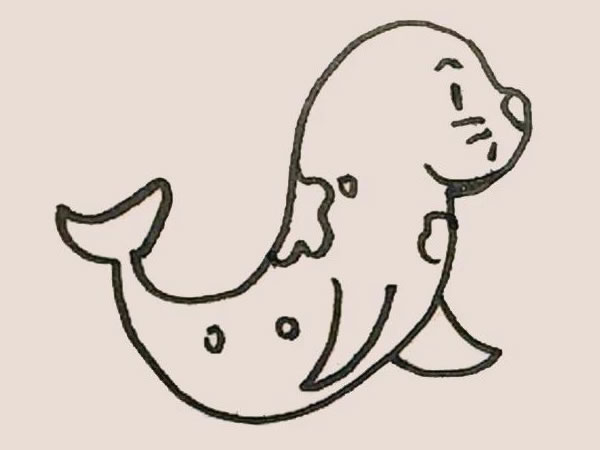 涂色的海豹簡筆畫教程
