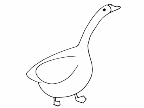 白鵝怎么畫(huà)簡(jiǎn)單又好看 白鵝怎么畫(huà)簡(jiǎn)單又好看