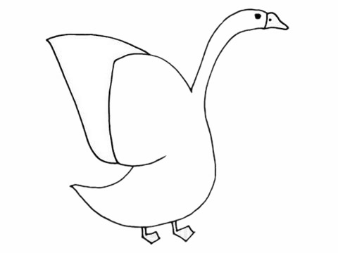 煽動(dòng)翅膀的白鵝簡(jiǎn)筆畫(huà) 煽動(dòng)翅膀的白鵝簡(jiǎn)筆畫(huà)