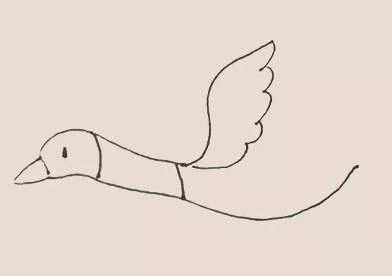 大雁簡筆畫教程【涂色】
