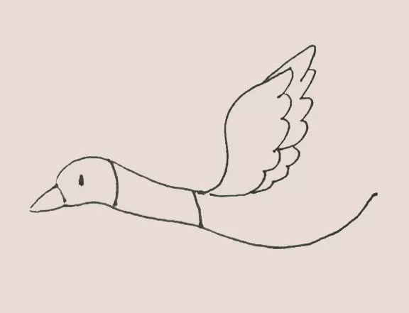 大雁簡筆畫教程【涂色】
