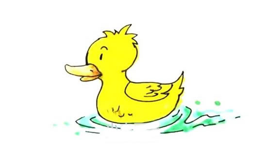 水中的小黃鴨簡筆畫教程