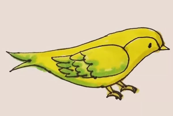 黃鸝怎么畫 黃鸝簡筆畫教程