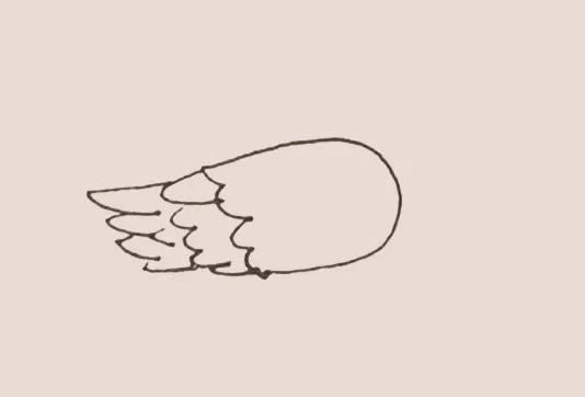黃鸝怎么畫 黃鸝簡筆畫教程