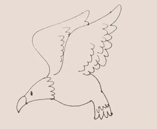 老鷹簡筆畫步驟教程【涂色】
