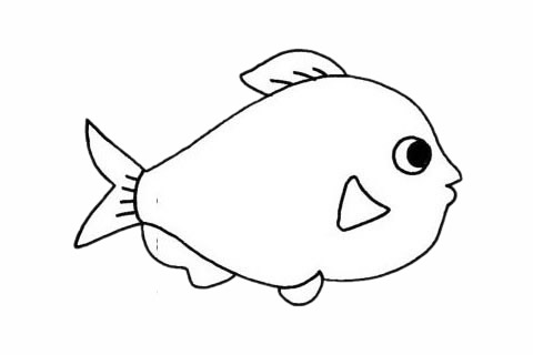關于鯧魚的簡筆畫