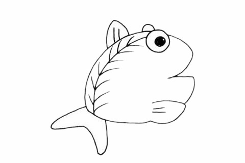 簡(jiǎn)單的鯧魚怎么畫