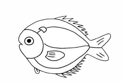 鯧魚兒童簡筆畫
