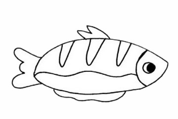 鯧魚的簡單畫法