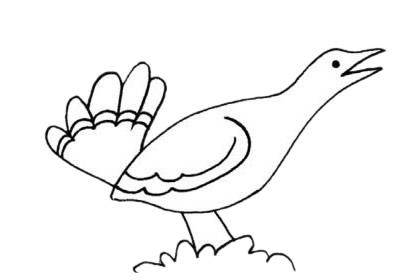 簡單的鴇鳥怎么畫