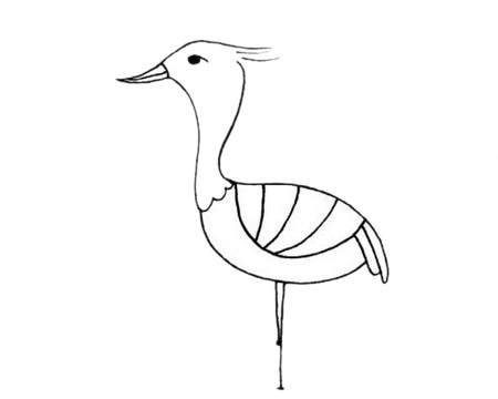 鴇鳥(niǎo)的簡(jiǎn)單畫法 鴇鳥(niǎo)的簡(jiǎn)單畫法