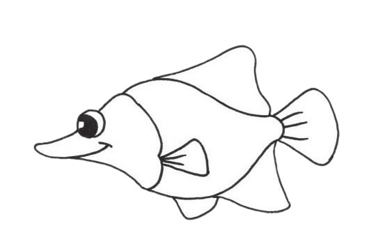 關(guān)于比目魚的簡筆畫