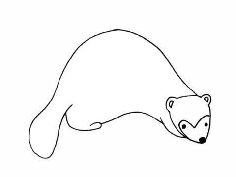 關(guān)于貂的簡(jiǎn)單畫(huà)法 關(guān)于貂的簡(jiǎn)單畫(huà)法