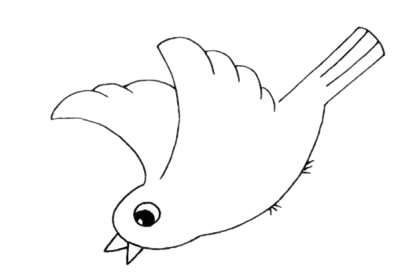 飛翔的杜鵑鳥(niǎo)簡(jiǎn)筆畫(huà)
