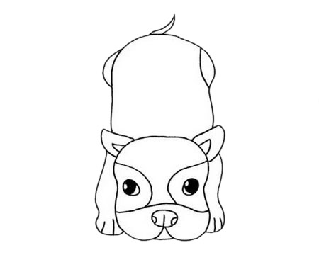 斗牛犬怎么畫最簡單