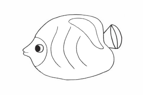 可愛的鰈魚簡筆畫步驟