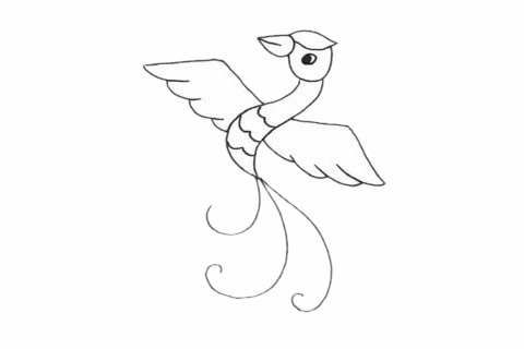 鳳凰簡筆畫步驟教程 鳳凰簡筆畫步驟教程