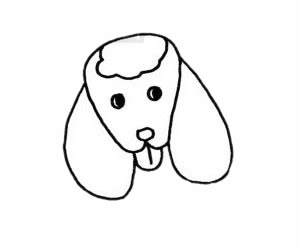 貴賓犬簡筆畫步驟教程