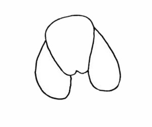 貴賓犬簡筆畫步驟教程