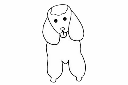 貴賓犬簡筆畫步驟教程