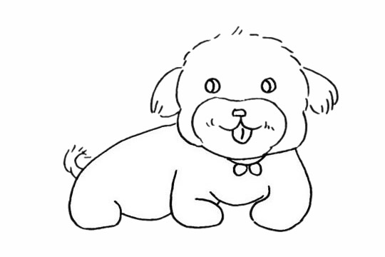 關(guān)于貴賓犬的簡(jiǎn)筆畫 關(guān)于貴賓犬的簡(jiǎn)筆畫