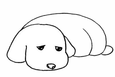 趴在地上的貴賓犬簡筆畫