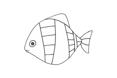 虎皮魚簡筆畫步驟教程 虎皮魚簡筆畫步驟教程