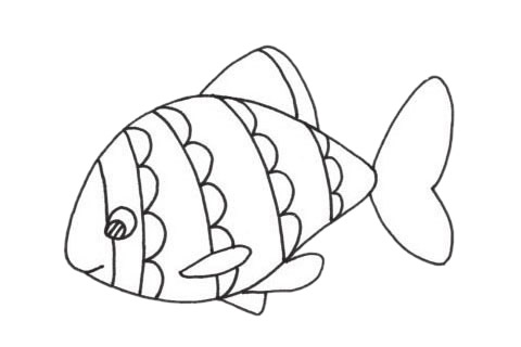 關于虎皮魚的簡筆畫