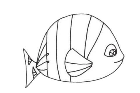 可愛的虎皮魚簡筆畫