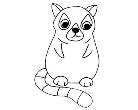 關(guān)于狐猴的簡筆畫