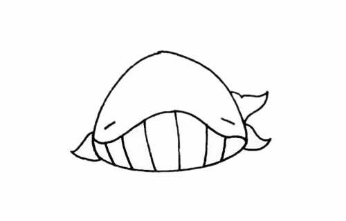 一組鯨魚的簡筆畫大全