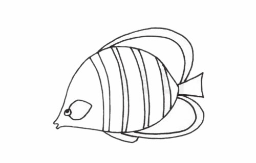 接吻魚簡筆畫步驟教程