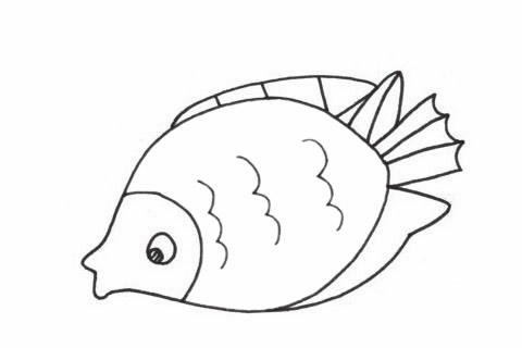 關于接吻魚的簡筆畫