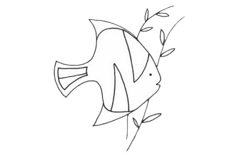 黃鰭鯧簡筆畫步驟教程