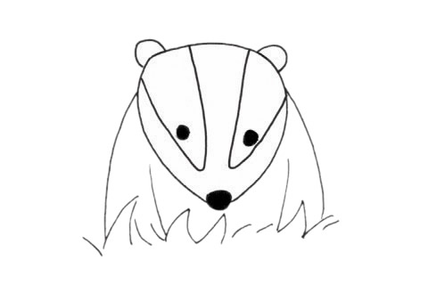 獾的簡筆畫步驟教程