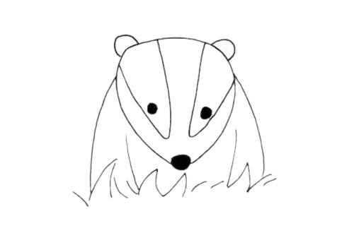 獾的簡筆畫步驟教程