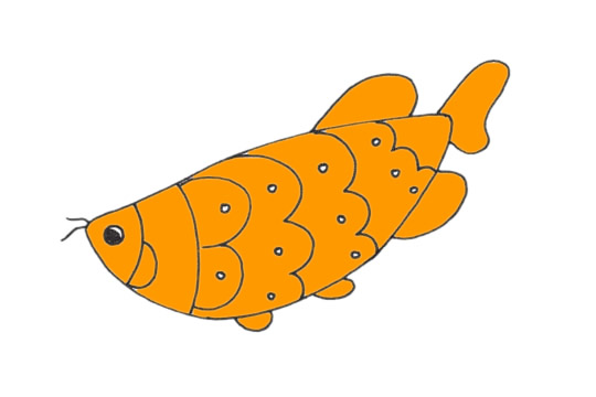 簡(jiǎn)單的龍魚怎么畫 簡(jiǎn)單的龍魚怎么畫
