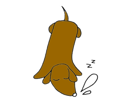 睡覺的臘腸犬簡筆畫