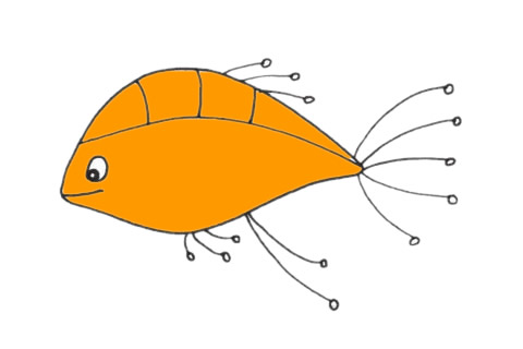 孔雀魚怎么畫  孔雀魚簡筆畫步驟