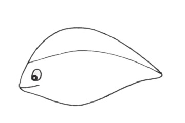 孔雀魚怎么畫  孔雀魚簡筆畫步驟